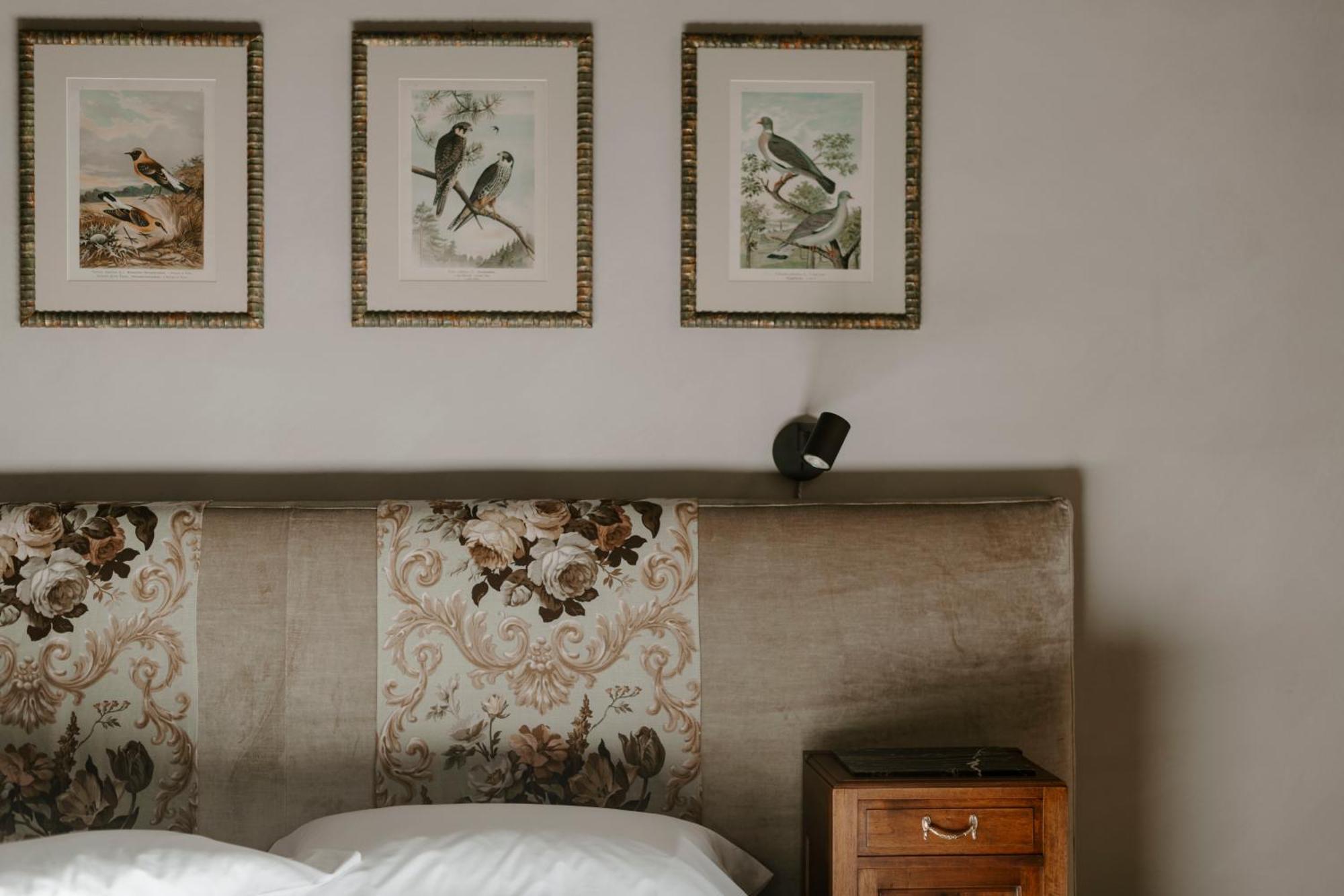 Alma Bed & Breakfast Alba  Esterno foto